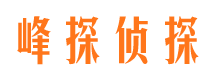 新民市侦探调查公司